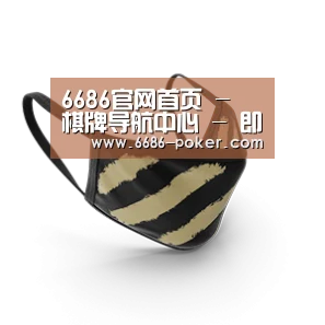 成人布口罩